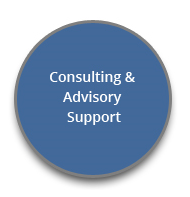 consulting&advisory
